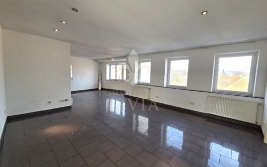 Großzügiges Wohnen mit Ateliercharakter – 227 m² Raum für Leben, Arbeiten und Entfaltung