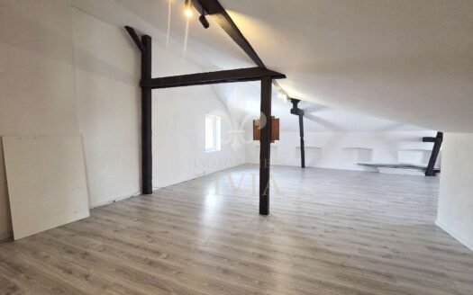 Großzügiges Wohnen mit Ateliercharakter – 227 m² Raum für Leben, Arbeiten und Entfaltung